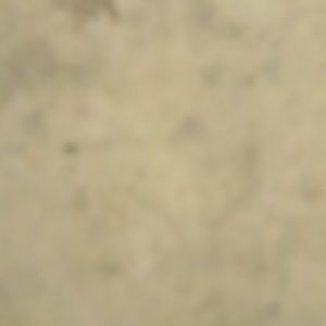 Meet your Posher, Jonah